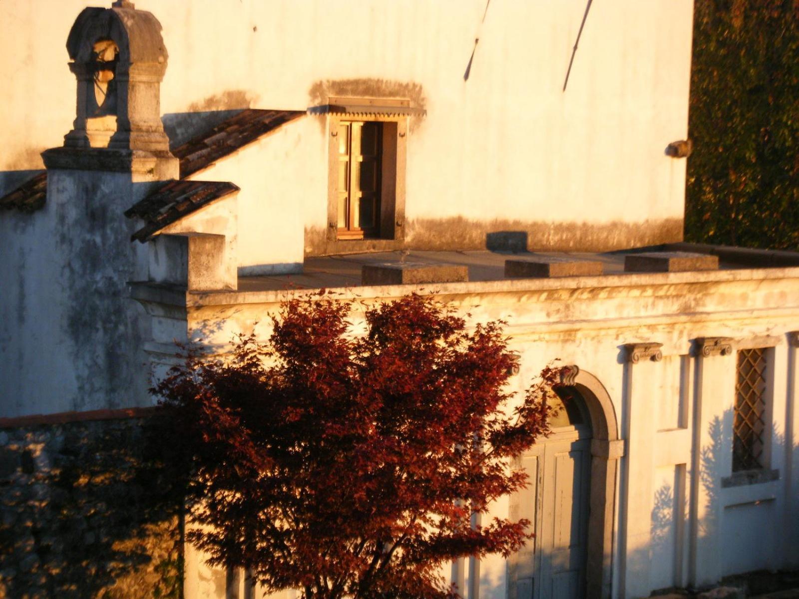 Agriturismo Grillo Iole Winery Prepotto  Exterior photo