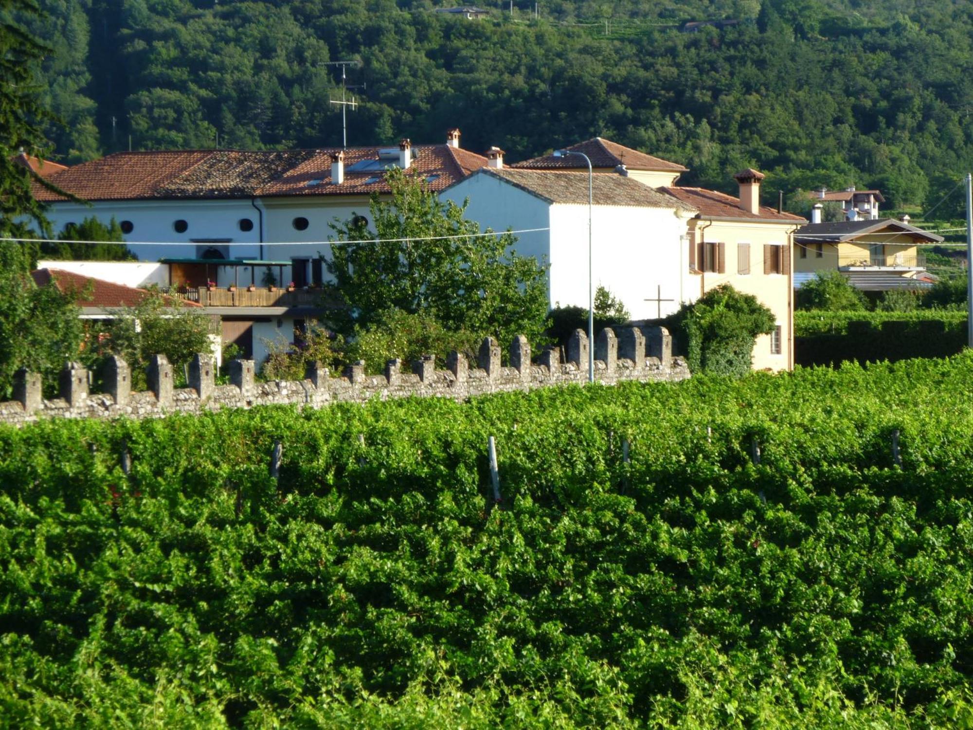 Agriturismo Grillo Iole Winery Prepotto  Exterior photo